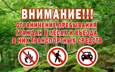 В леса Оренбуржья теперь запрещено заходить жителям области
