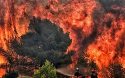 В период с 24 по 28 июля 2023 местами в восточных и южных районах области ожидается высокая пожарная опасность – 4 класс